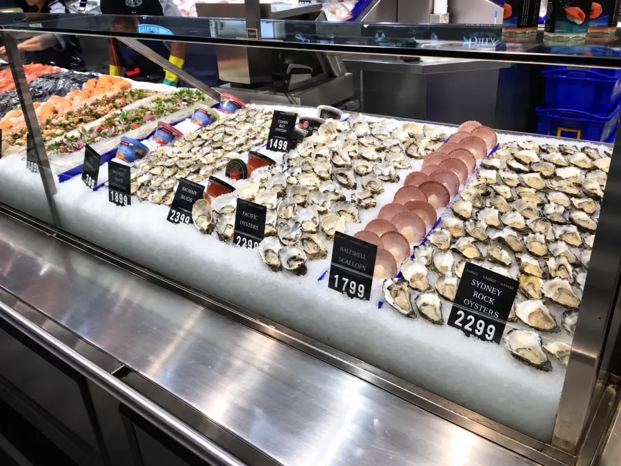 Sydney rock and Pacific oysters on crushed ice at Barry's counter